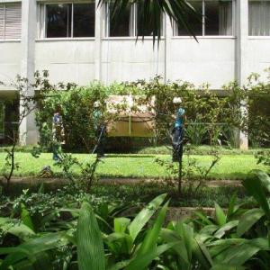 Içamento de piano sp